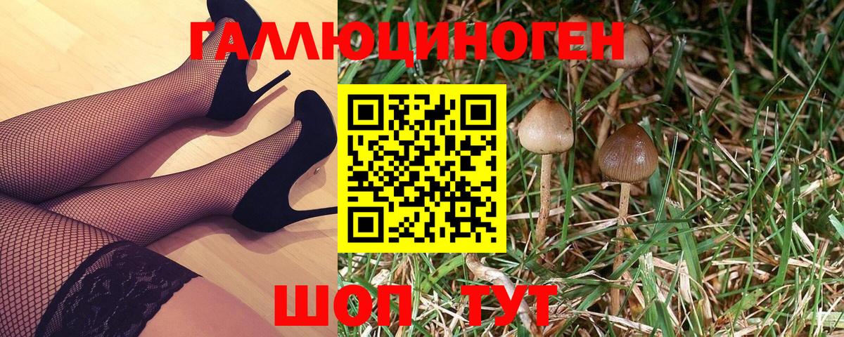 Галлюциногенные грибы Psilocybe  Псилоцибиновые грибы прущие грибы  Новосибирск  Вход с VPN 
